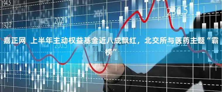 嘉正网  上半年主动权益基金近八成飘红，北交所与医药主题“霸榜”