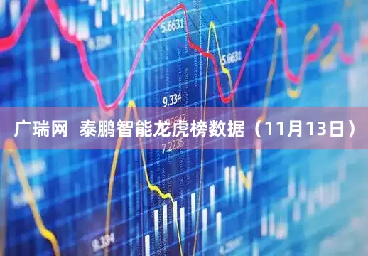 广瑞网  泰鹏智能龙虎榜数据（11月13日）