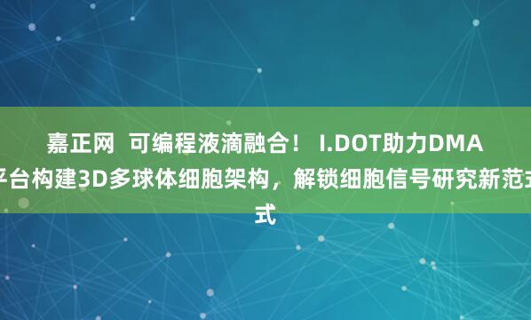 嘉正网  可编程液滴融合！ I.DOT助力DMA平台构建3D多球体细胞架构，解锁细胞信号研究新范式